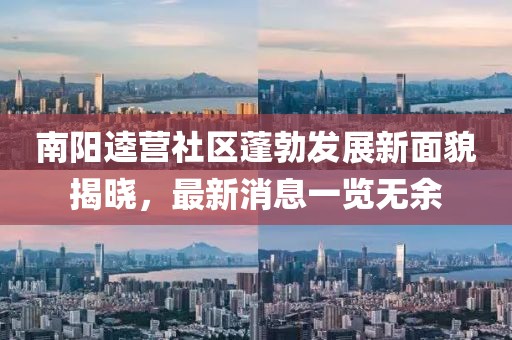 南阳逵营社区蓬勃发展新面貌揭晓，最新消息一览无余