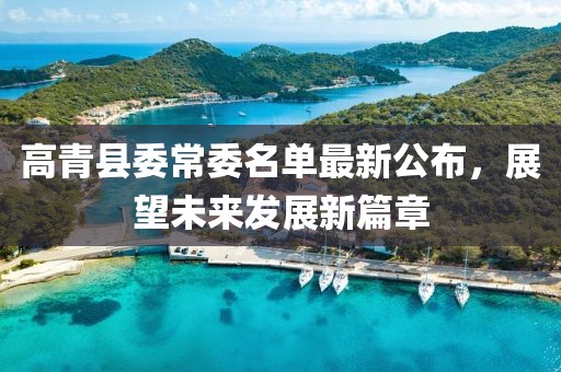 高青县委常委名单最新公布，展望未来发展新篇章