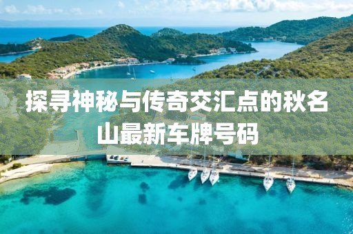 探寻神秘与传奇交汇点的秋名山最新车牌号码