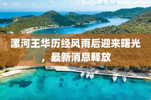 漯河王华历经风雨后迎来曙光，最新消息释放