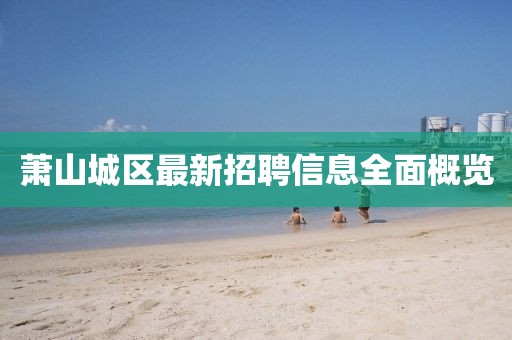 萧山城区最新招聘信息全面概览