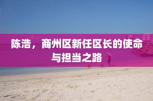 陈浩，商州区新任区长的使命与担当之路