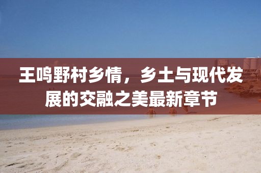 王鸣野村乡情，乡土与现代发展的交融之美最新章节