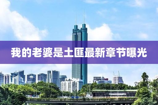 我的老婆是土匪最新章节曝光