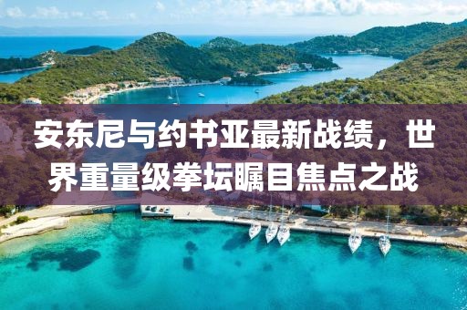 安东尼与约书亚最新战绩，世界重量级拳坛瞩目焦点之战