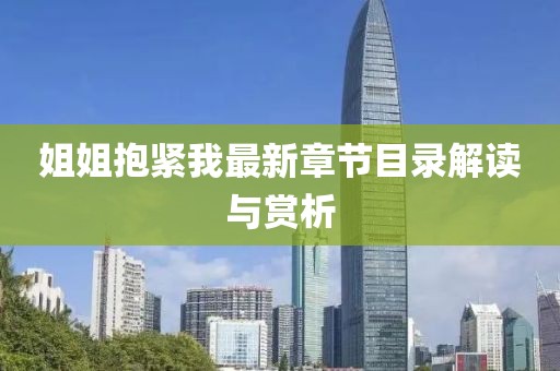 姐姐抱紧我最新章节目录解读与赏析