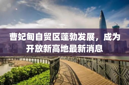 曹妃甸自贸区蓬勃发展，成为开放新高地最新消息