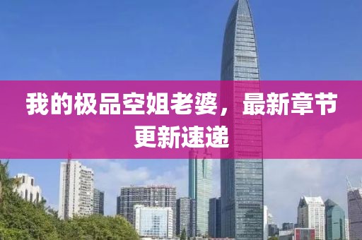 我的极品空姐老婆，最新章节更新速递