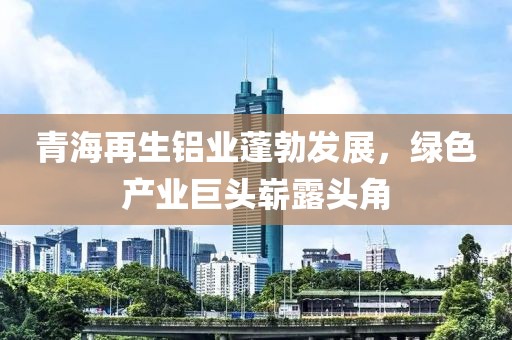 青海再生铝业蓬勃发展，绿色产业巨头崭露头角