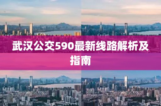 武汉公交590最新线路解析及指南