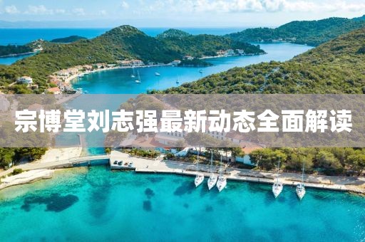 宗博堂刘志强最新动态全面解读
