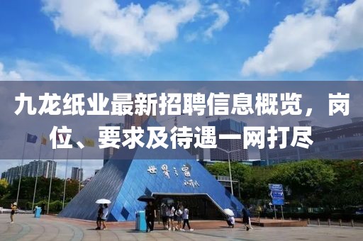 九龙纸业最新招聘信息概览，岗位、要求及待遇一网打尽