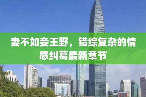妻不如妾王野，错综复杂的情感纠葛最新章节