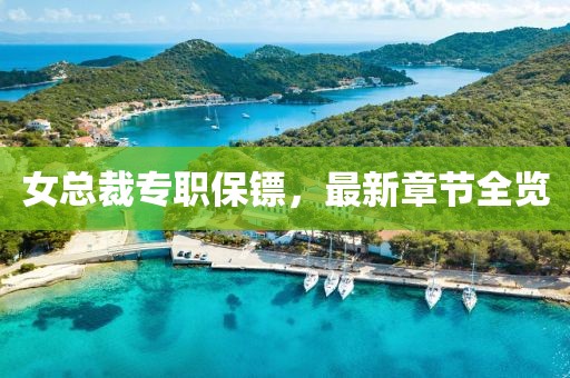 女总裁专职保镖，最新章节全览