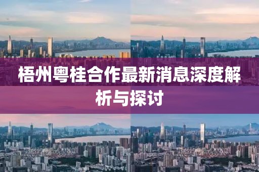梧州粤桂合作最新消息深度解析与探讨