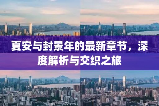 夏安与封景年的最新章节，深度解析与交织之旅