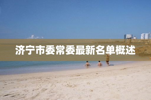 济宁市委常委最新名单概述