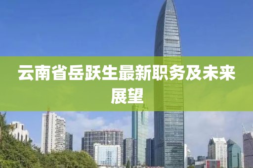 云南省岳跃生最新职务及未来展望