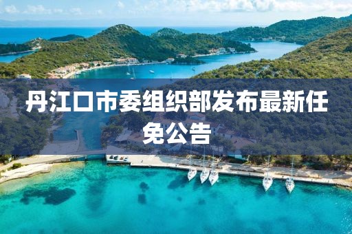 丹江口市委组织部发布最新任免公告
