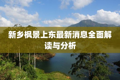 新乡枫景上东最新消息全面解读与分析