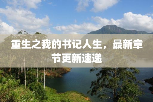 重生之我的书记人生，最新章节更新速递