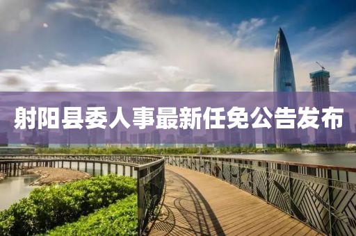 射阳县委人事最新任免公告发布