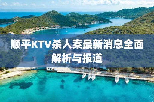 顺平KTV杀人案最新消息全面解析与报道