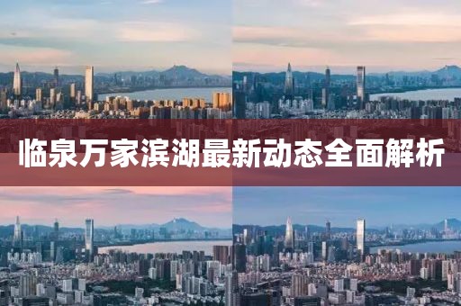 临泉万家滨湖最新动态全面解析