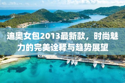 迪奥女包2013最新款，时尚魅力的完美诠释与趋势展望