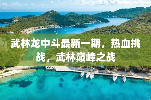 武林龙中斗最新一期，热血挑战，武林巅峰之战
