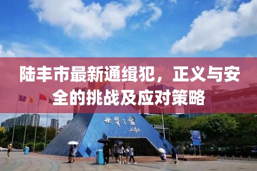 陆丰市最新通缉犯，正义与安全的挑战及应对策略