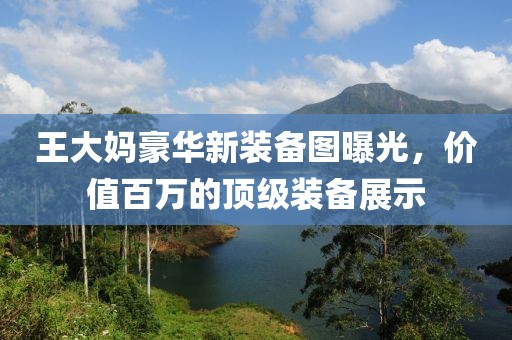 王大妈豪华新装备图曝光，价值百万的顶级装备展示