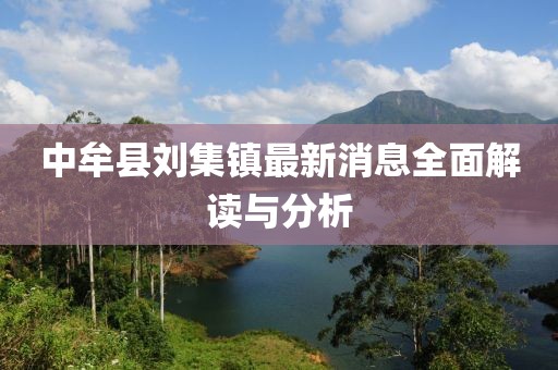 中牟县刘集镇最新消息全面解读与分析