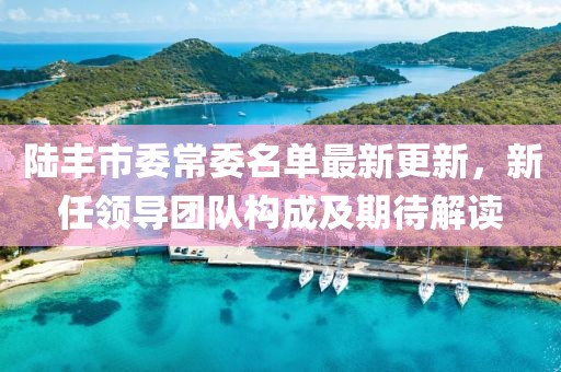 陆丰市委常委名单最新更新，新任领导团队构成及期待解读