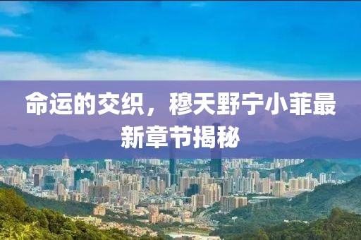 命运的交织，穆天野宁小菲最新章节揭秘