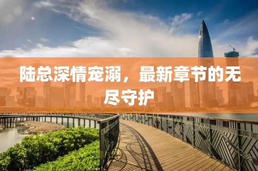 陆总深情宠溺，最新章节的无尽守护