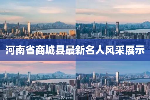 河南省商城县最新名人风采展示