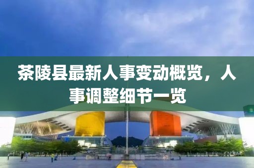 茶陵县最新人事变动概览，人事调整细节一览