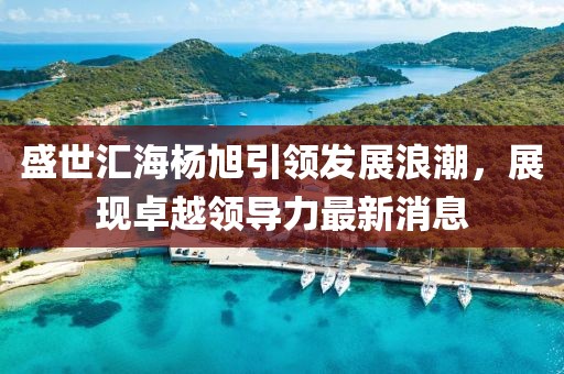 盛世汇海杨旭引领发展浪潮，展现卓越领导力最新消息