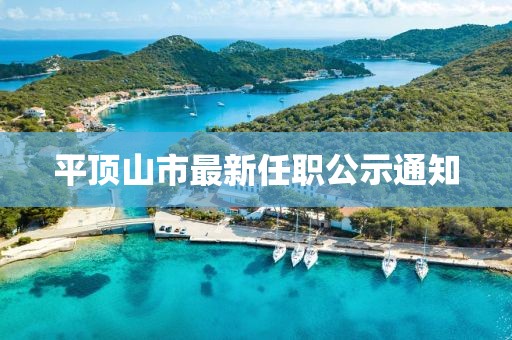 平顶山市最新任职公示通知