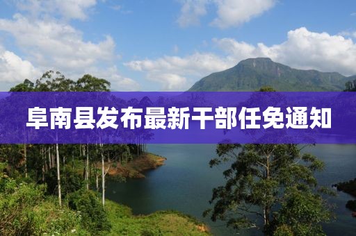 阜南县发布最新干部任免通知