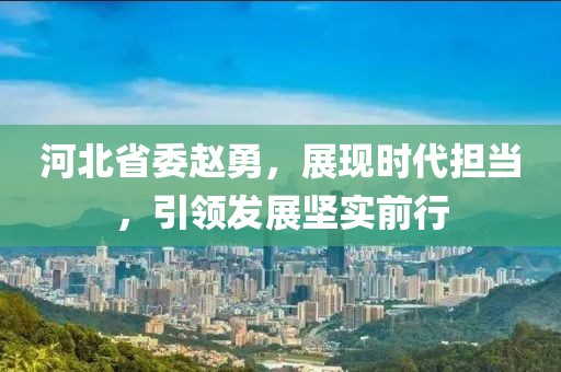 河北省委赵勇，展现时代担当，引领发展坚实前行