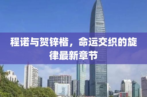 程诺与贺锌楷，命运交织的旋律最新章节