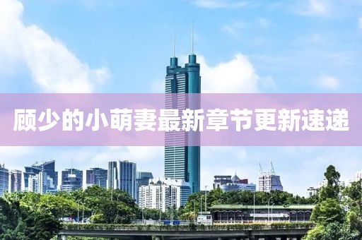顾少的小萌妻最新章节更新速递