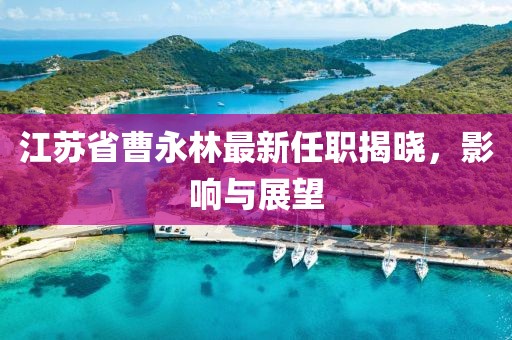 江苏省曹永林最新任职揭晓，影响与展望