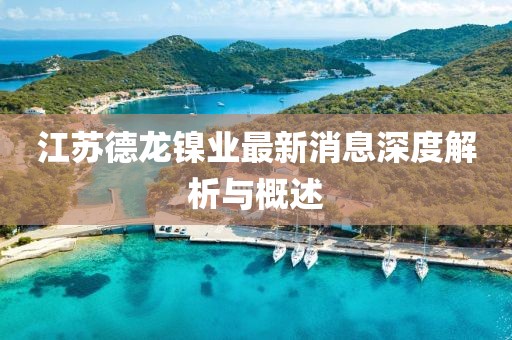 江苏德龙镍业最新消息深度解析与概述