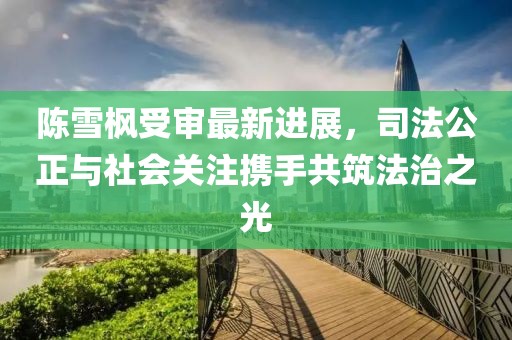 陈雪枫受审最新进展，司法公正与社会关注携手共筑法治之光