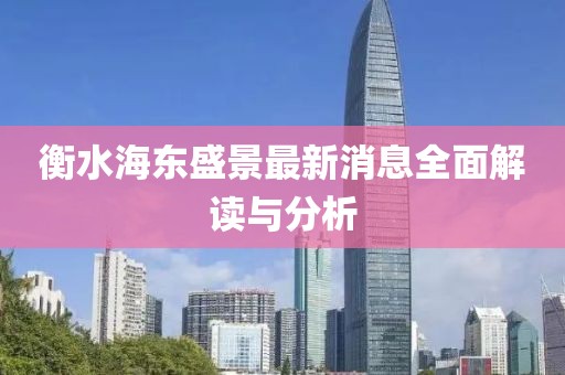 衡水海东盛景最新消息全面解读与分析