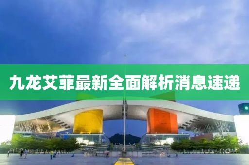 九龙艾菲最新全面解析消息速递