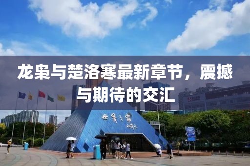 龙枭与楚洛寒最新章节，震撼与期待的交汇